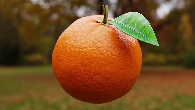 Procedural Orange Fruit with Leaf - Photoreal 3D Model 3D model 2