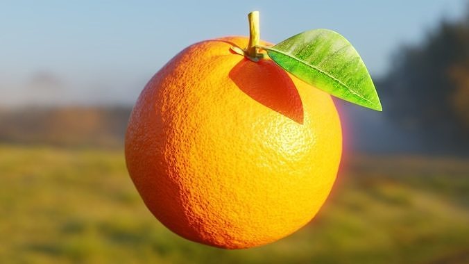 Procedural Orange Fruit with Leaf - Photoreal 3D Model 3D model 4