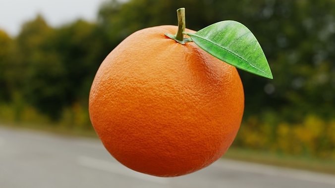 Procedural Orange Fruit with Leaf - Photoreal 3D Model 3D model 5