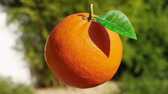 Procedural Orange Fruit with Leaf - Photoreal 3D Model 3D model 3