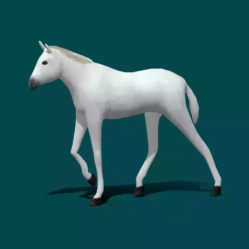 Foal Horse Animal Low-poly 3D model