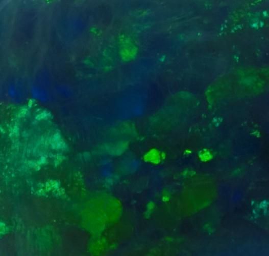 floral ring 3D print model_20