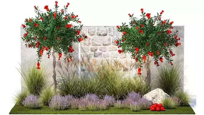 Garden with lavender and flowering pomegranate trees 1393