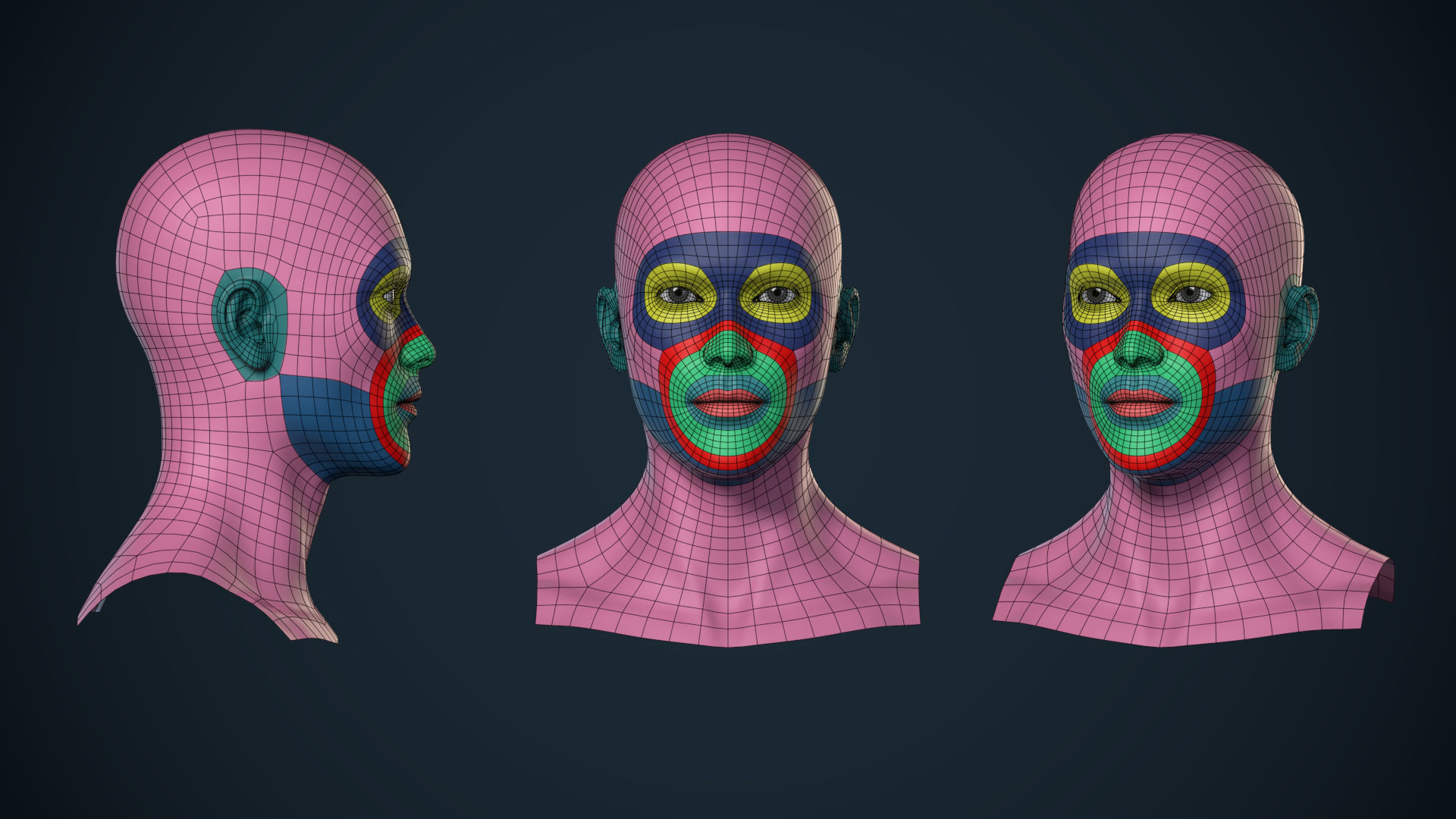 Female Basemesh - Game Ready Low-poly 3D model_6