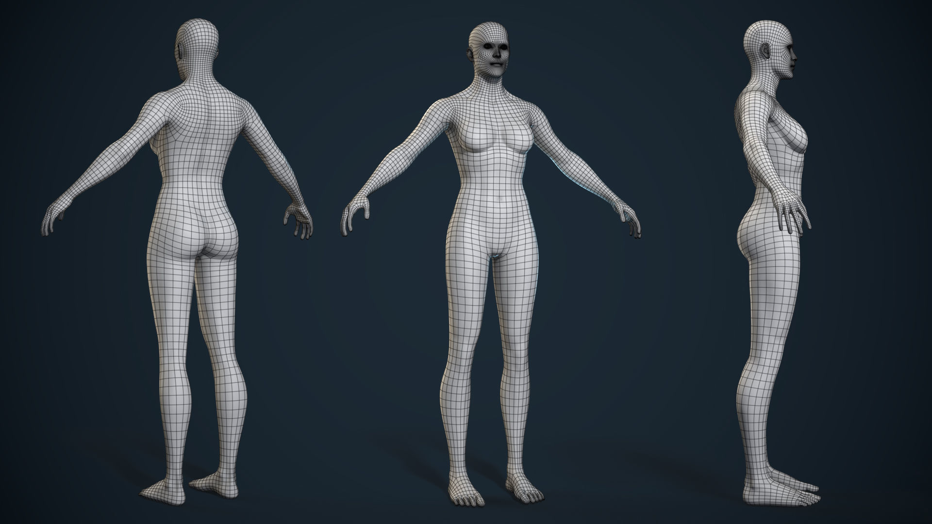Female Basemesh - Game Ready Low-poly 3D model_2