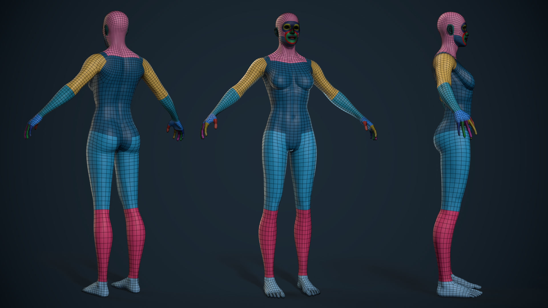 Female Basemesh - Game Ready Low-poly 3D model_3