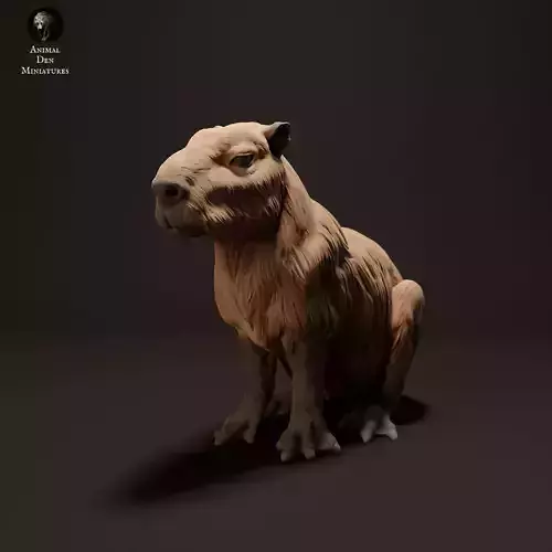 Capybara Free 3D print model
