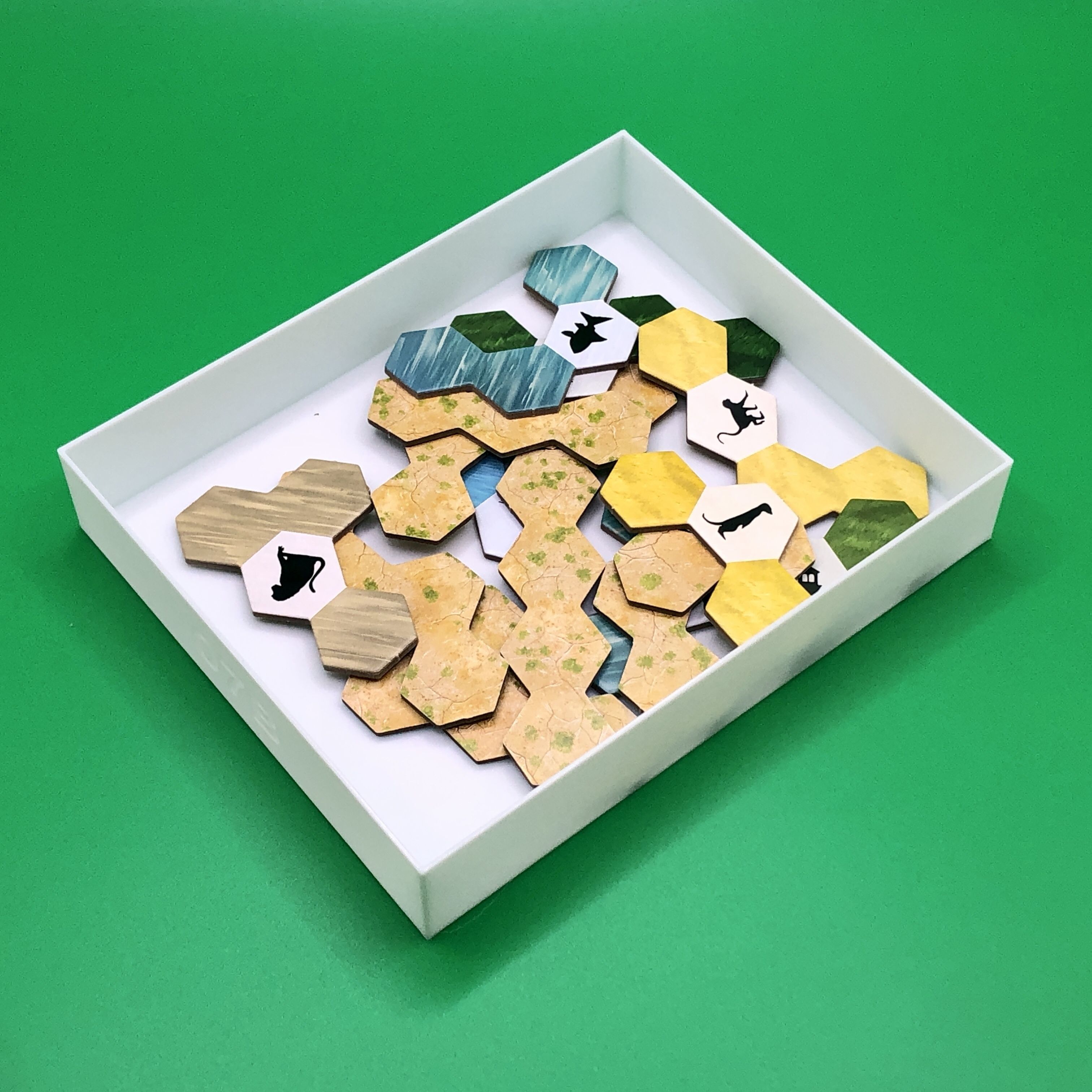 ARK NOVA 3D PRINTABLE INSERTS INTERNAL ORGANIZER 3D print model_8