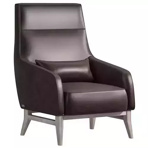 Ascot Armchair By Bodema 