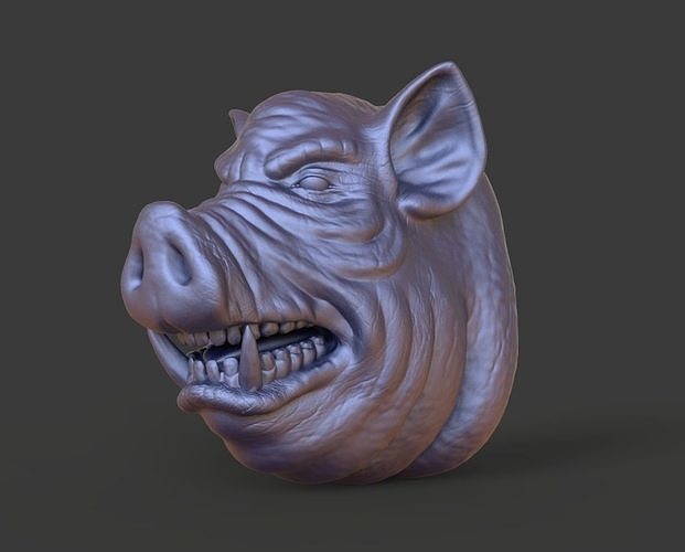 HEAD-Pig1  high poly sculpt 3D model 3D model
