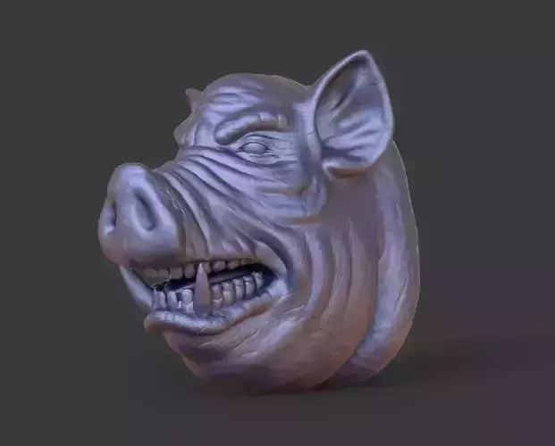 HEAD-Pig1  high poly sculpt 3D model