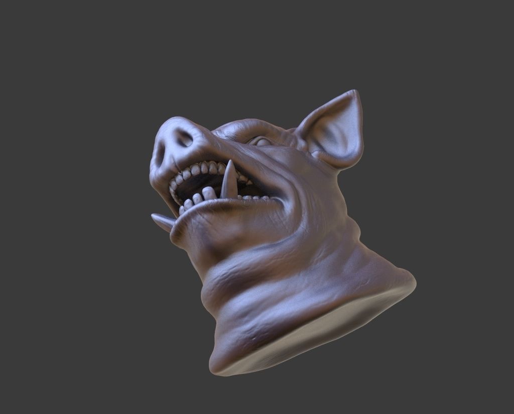 HEAD-Pig2 high poly sculpt 3D model 3D model_5