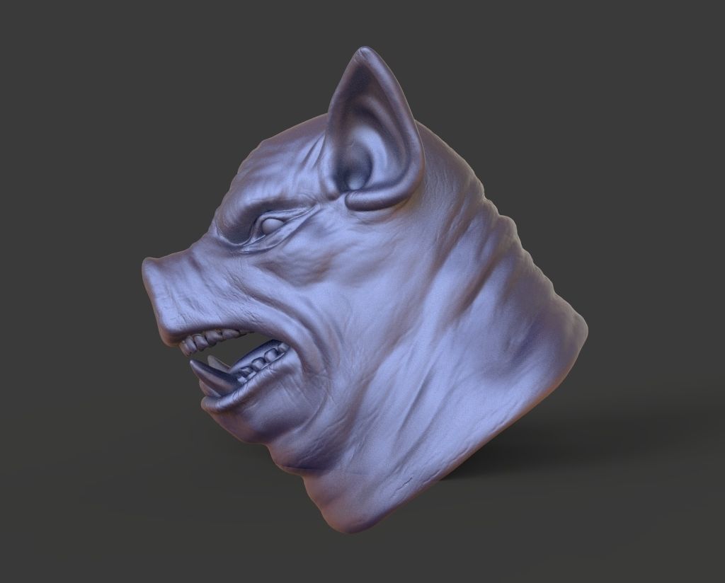 HEAD-Pig2 high poly sculpt 3D model 3D model_2