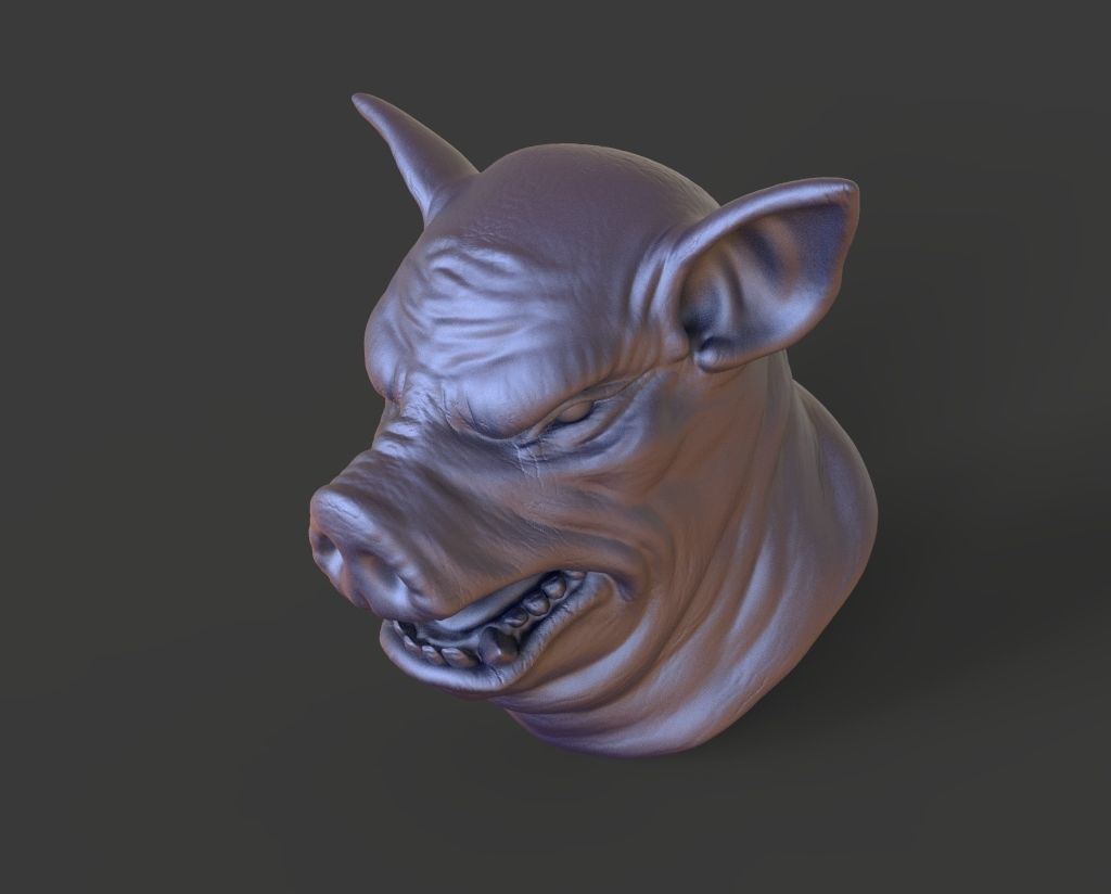 HEAD-Pig2 high poly sculpt 3D model 3D model_4