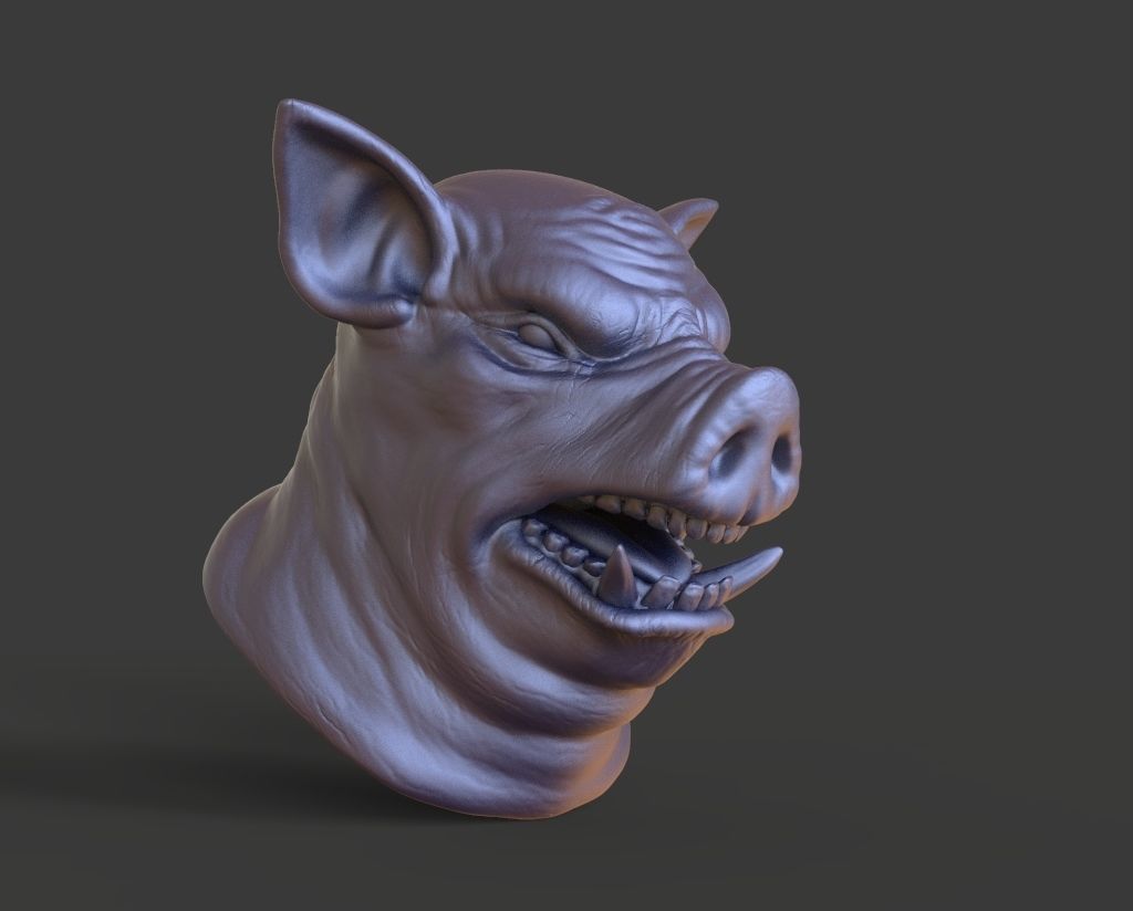 HEAD-Pig2 high poly sculpt 3D model 3D model_1