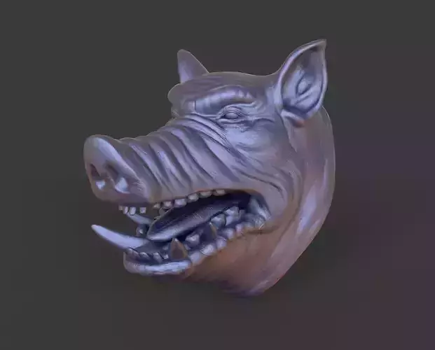 HEAD-Pig3  high poly sculpt 3D model