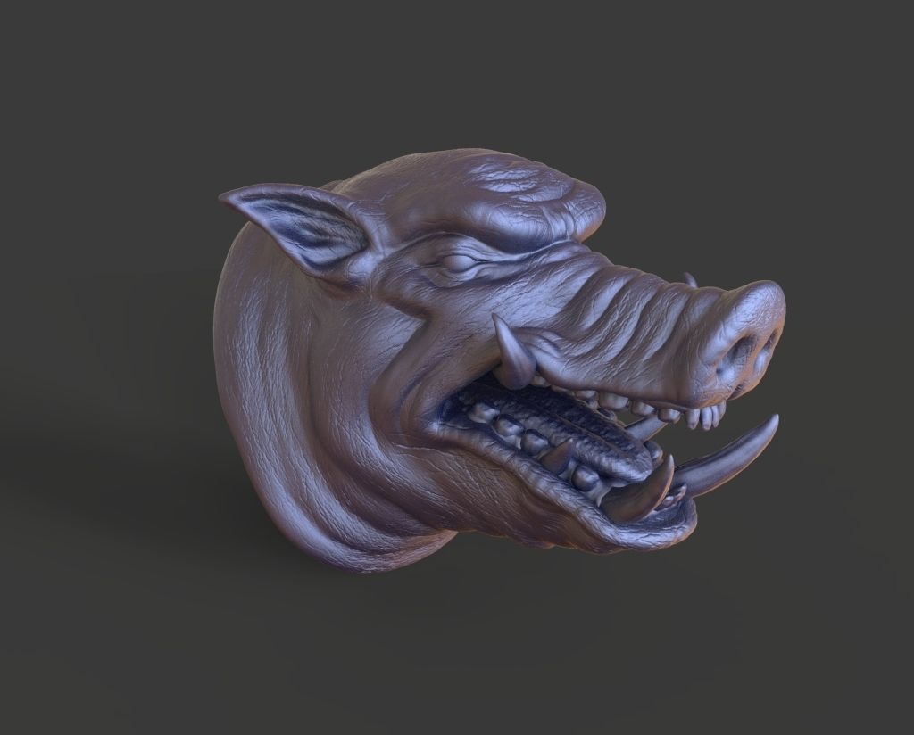 HEAD-Pig4 high poly sculpt 3D model 3D model_1