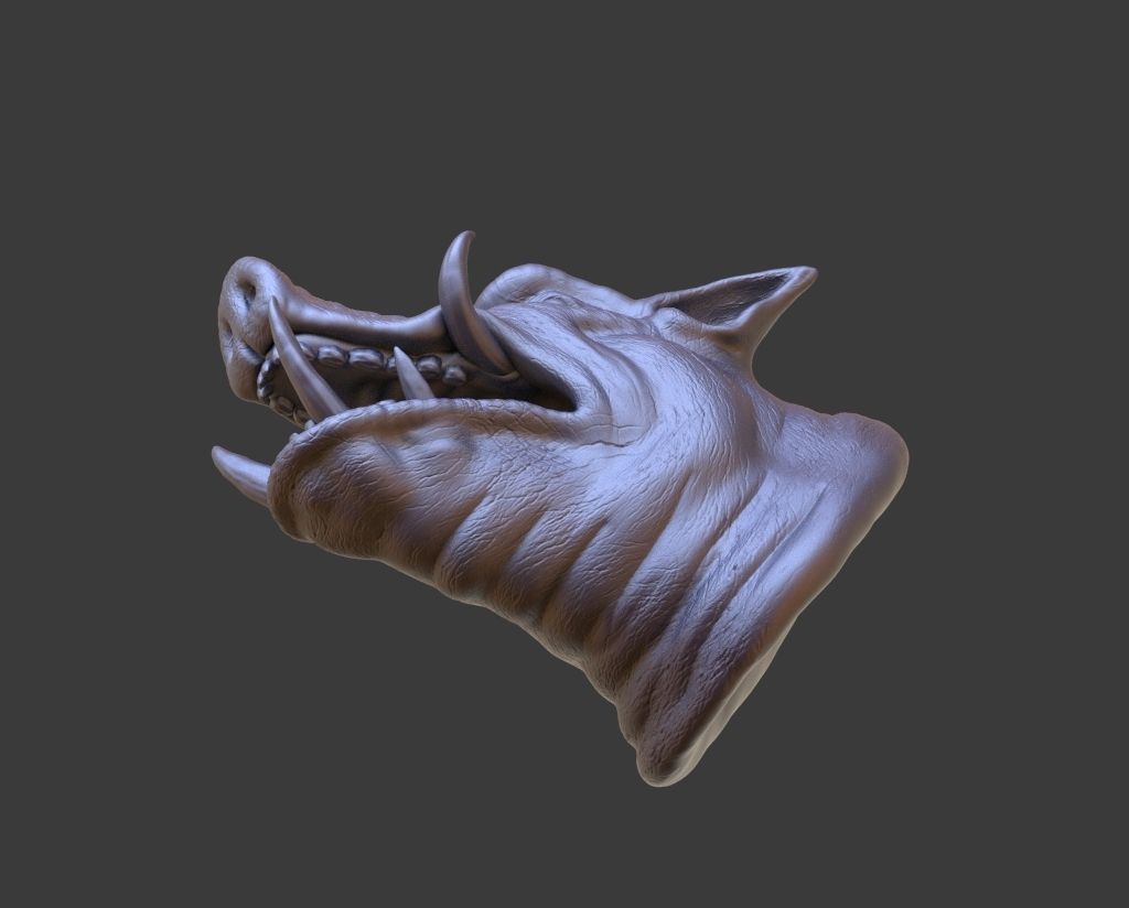 HEAD-Pig4 high poly sculpt 3D model 3D model_5