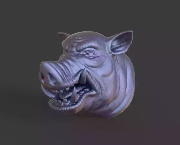 HEAD-Pig5  high poly sculpt 3D model