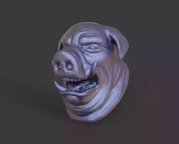 HEAD-Pig6  high poly sculpt 3D model