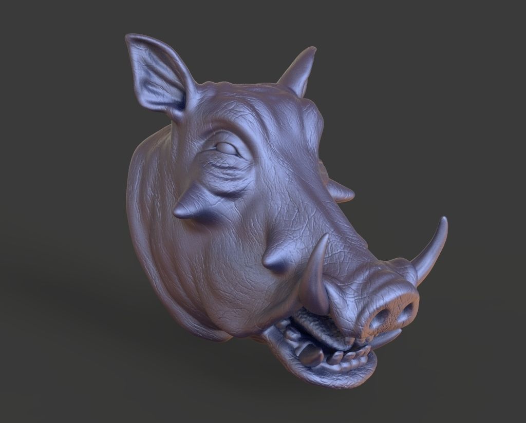 HEADPig9  high poly sculpt 3D model 3D model_1