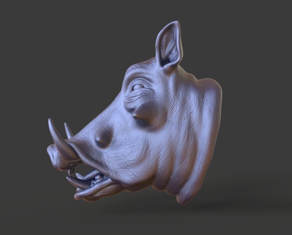 HEADPig9  high poly sculpt 3D model 3D model_3