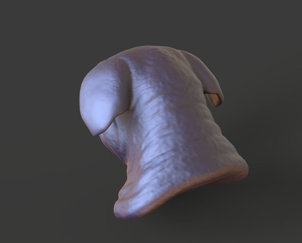 HEAD-Pig10  high poly sculpt 3D model 3D model_3