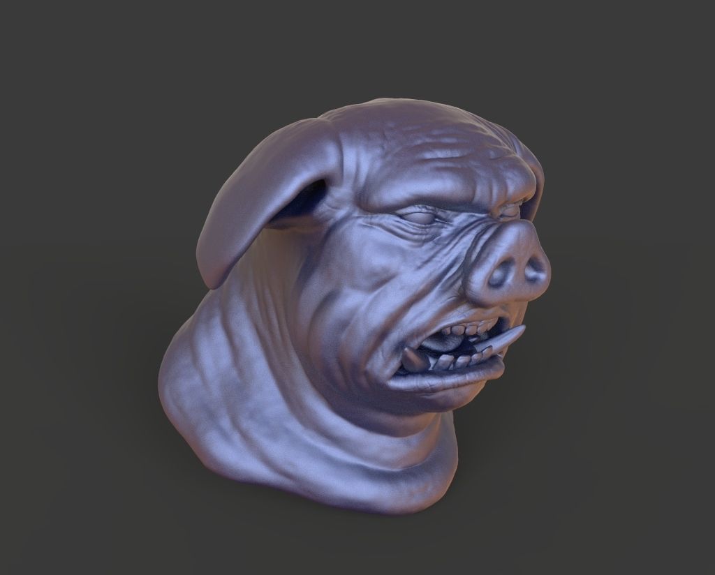 HEAD-Pig10  high poly sculpt 3D model 3D model_1