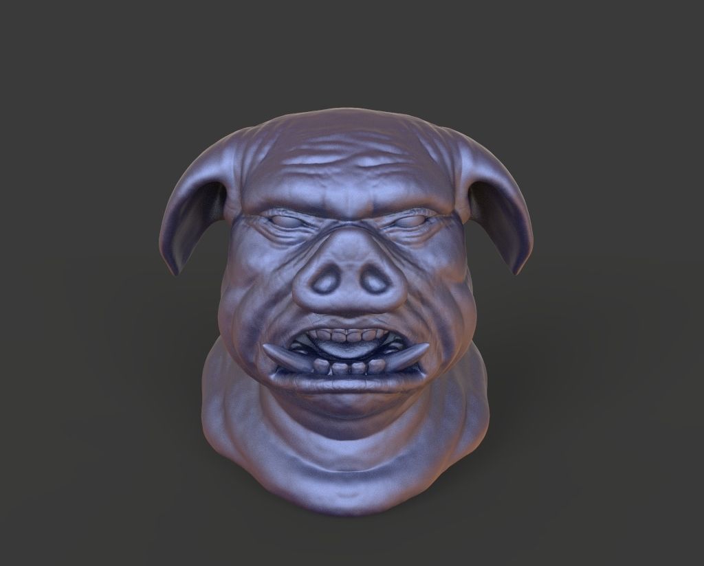 HEAD-Pig10  high poly sculpt 3D model 3D model_2