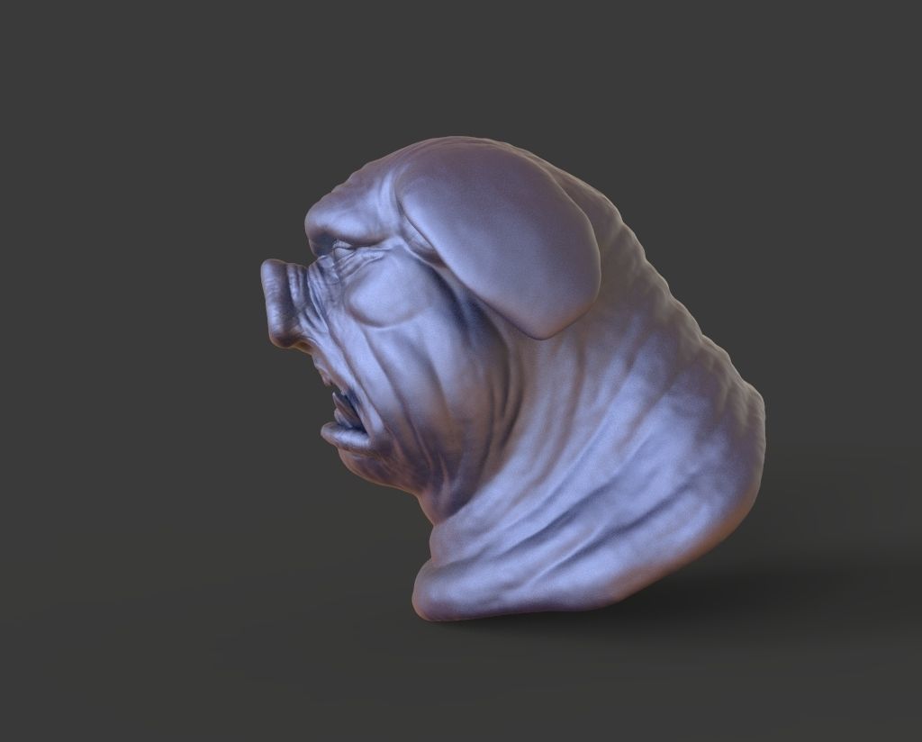 HEAD-Pig10  high poly sculpt 3D model 3D model_5