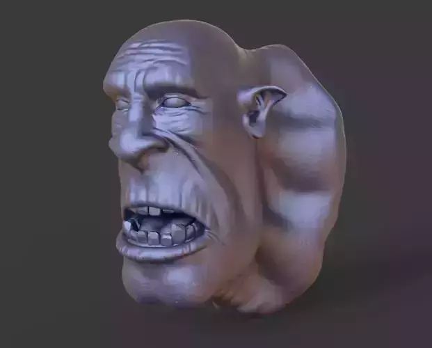 HEAD-Goblin1 high poly sculpt 3D model