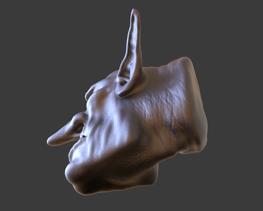 HEAD-Goblin3  high poly sculpt 3D model 3D model_4