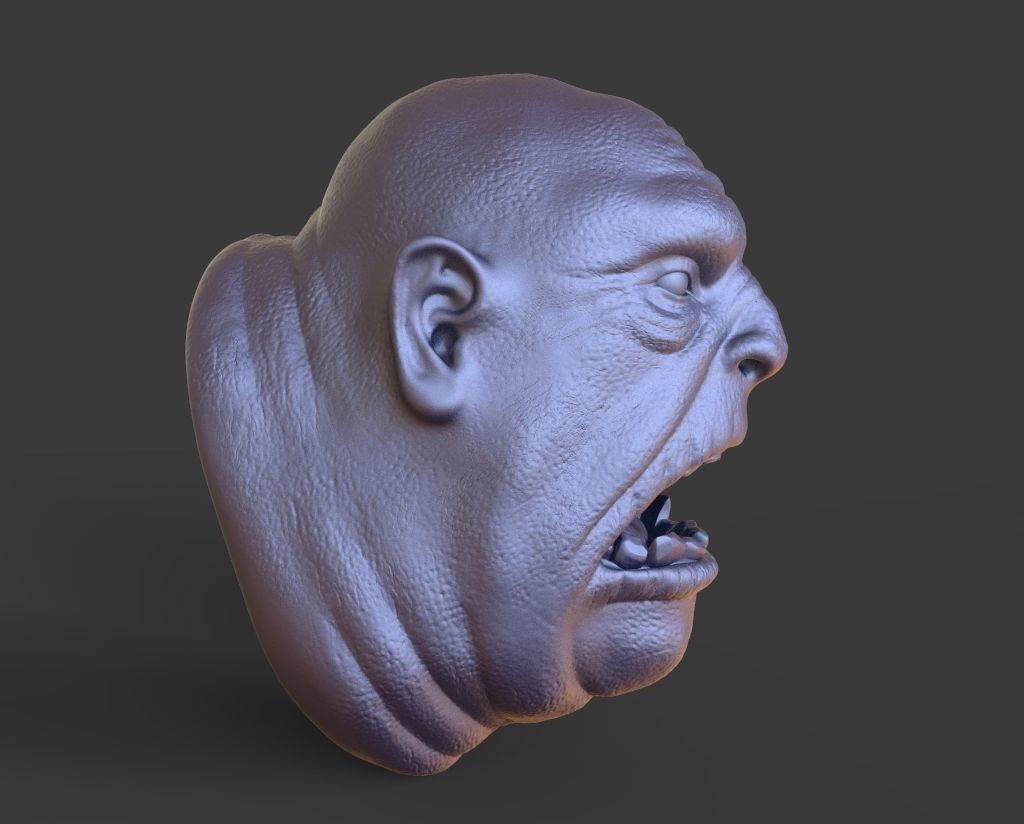 HEAD-Goblin10  high poly sculpt 3D model 3D model_2