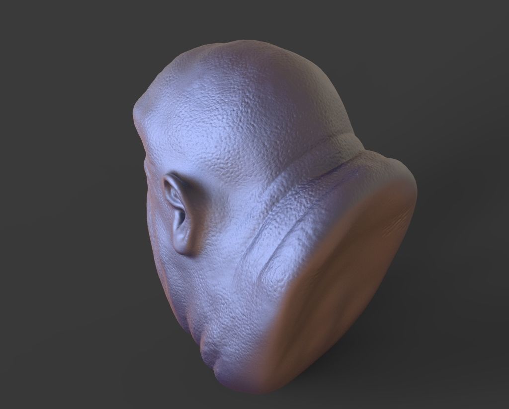 HEAD-Goblin10  high poly sculpt 3D model 3D model_5