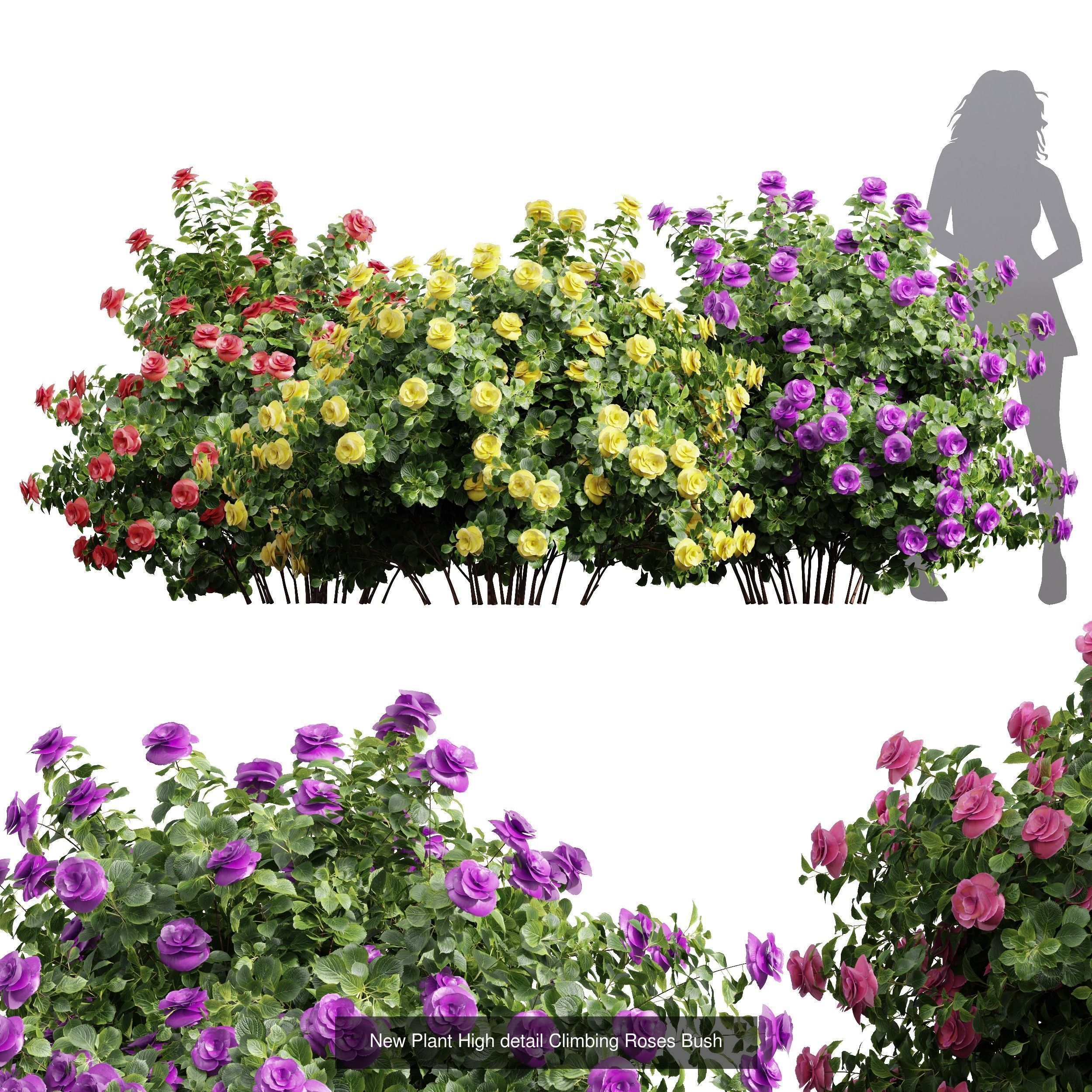 7 Different SETS of Plant Flower SET VOL69 3D Model Collection_2