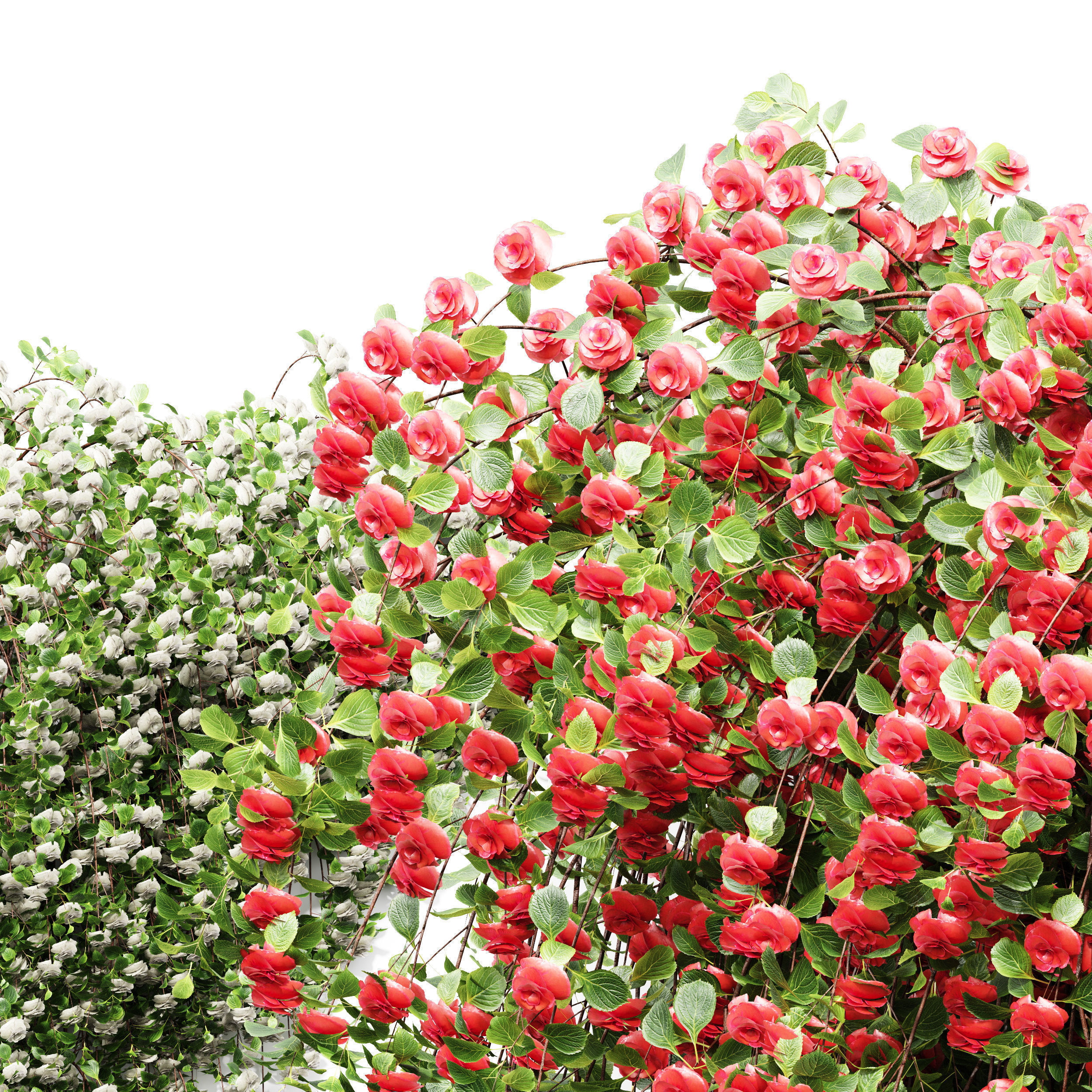 7 Different SETS of Plant Flower SET VOL69 3D Model Collection_17