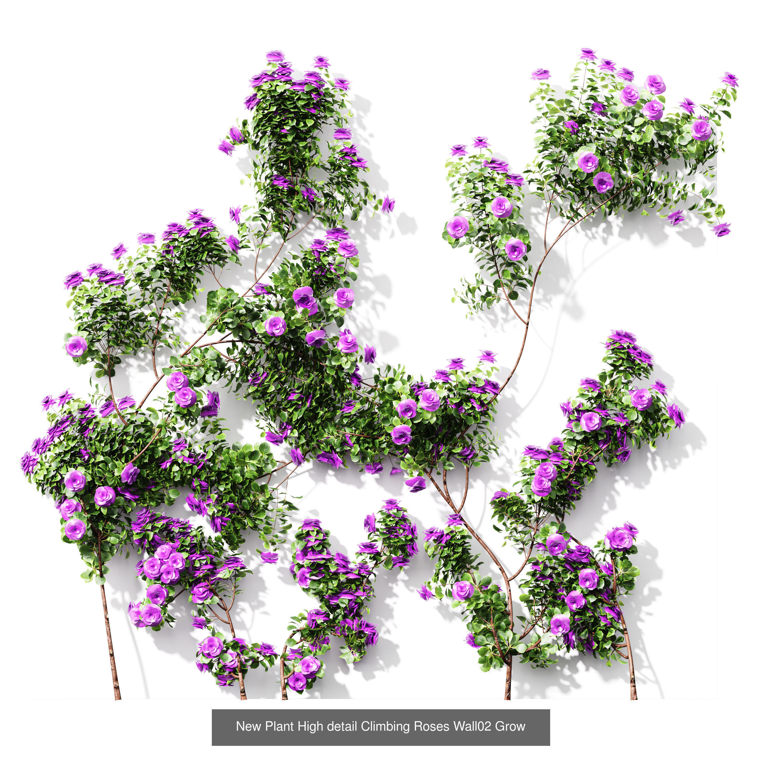 7 Different SETS of Plant Flower SET VOL69 3D Model Collection_7
