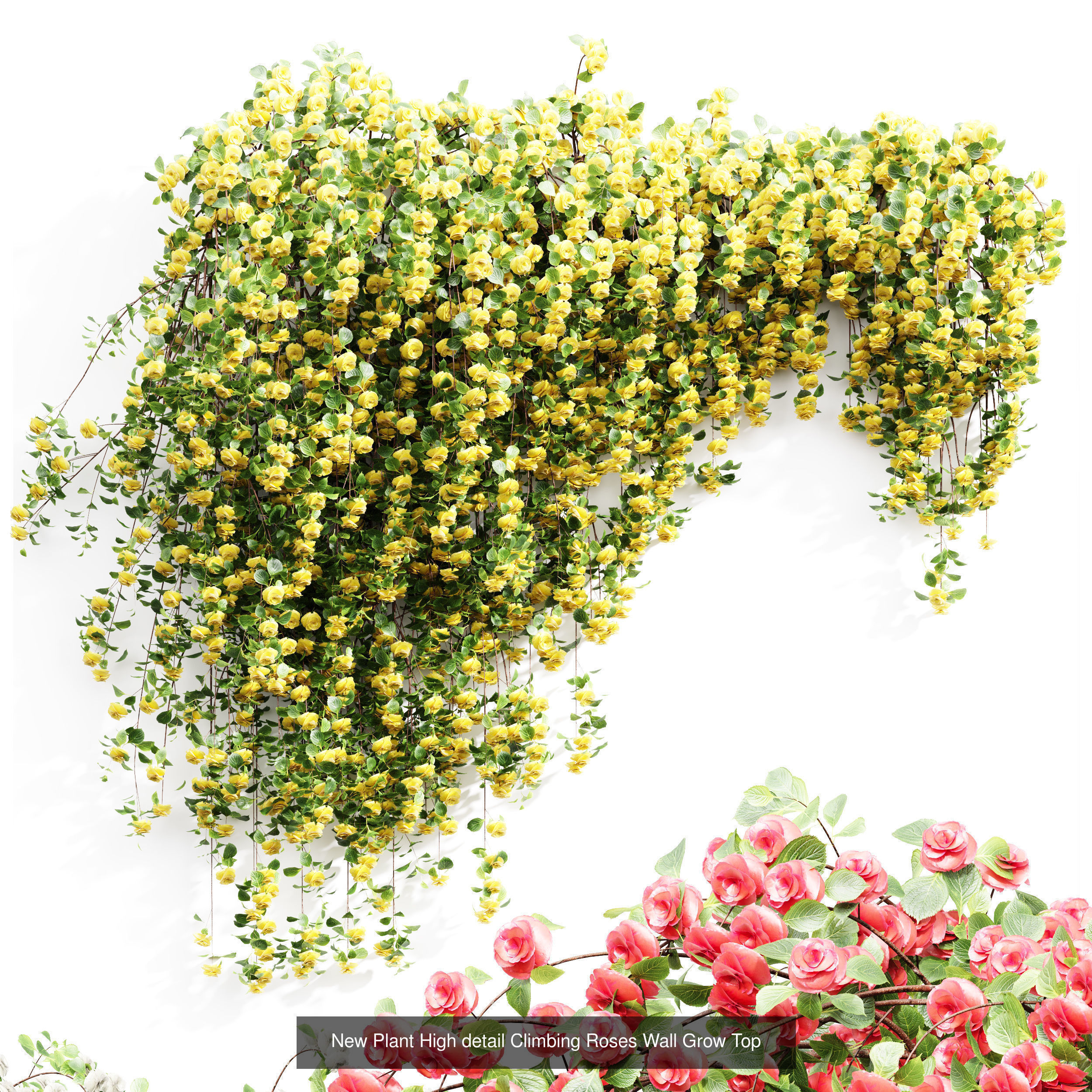 7 Different SETS of Plant Flower SET VOL69 3D Model Collection_5