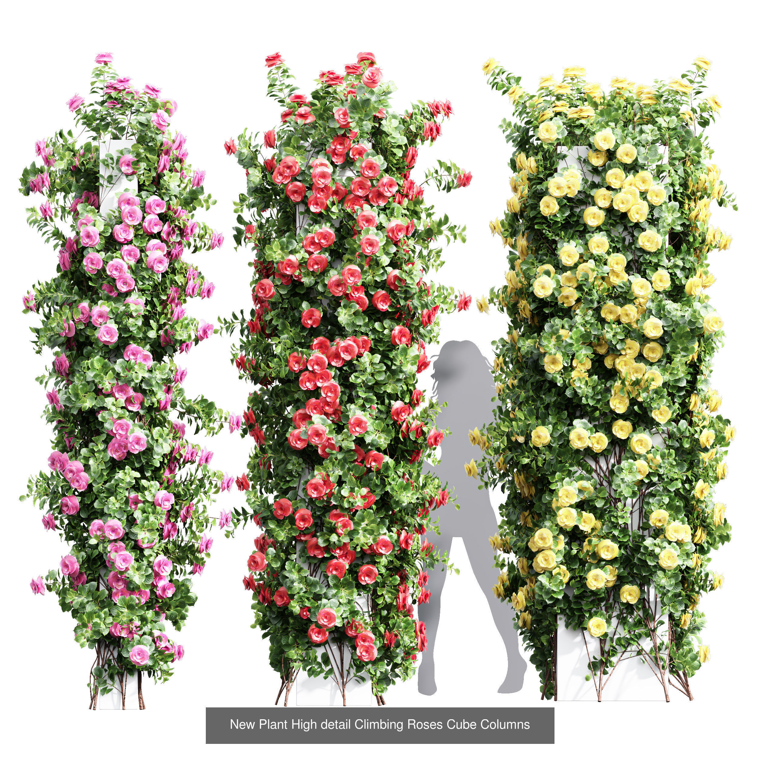 7 Different SETS of Plant Flower SET VOL69 3D Model Collection_3