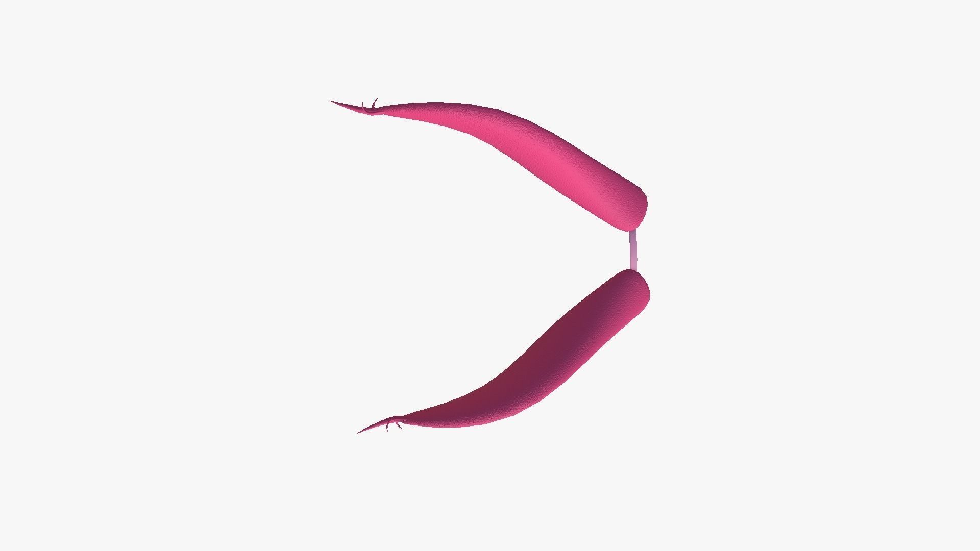 Furry Ears Tiara I02 Pink - Headband Character Design Low-poly 3D model_4