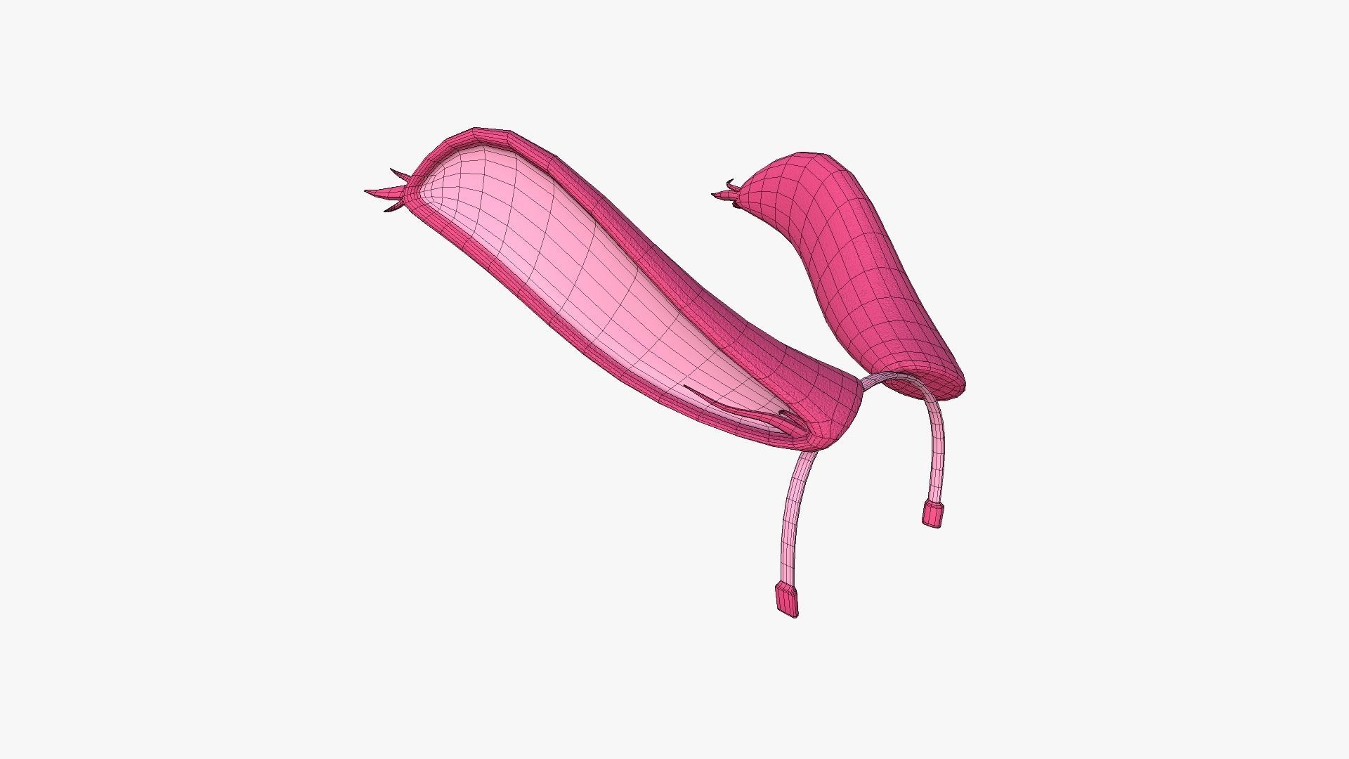 Furry Ears Tiara I02 Pink - Headband Character Design Low-poly 3D model_6