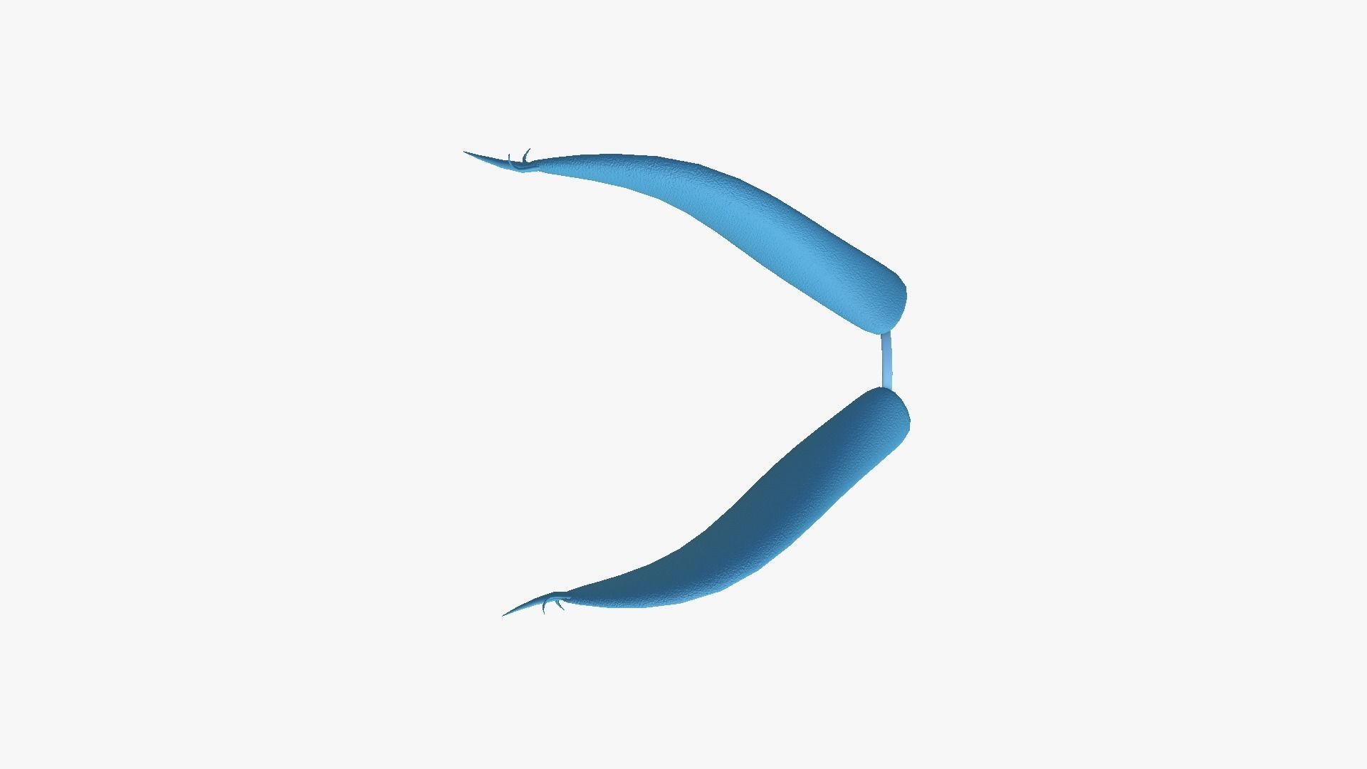 Furry Ears Tiara I03 Blue - Headband Character Design Low-poly 3D model_4