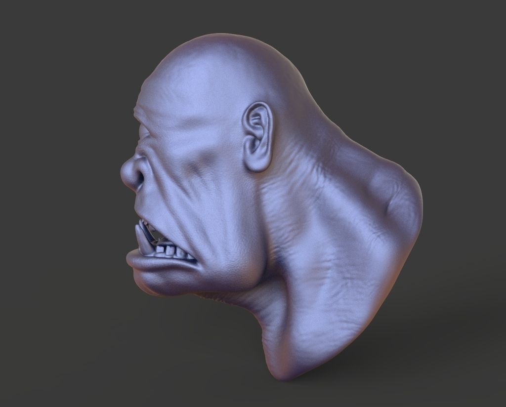 HEAD-F1 high poly sculpt 3D model 3D model_3