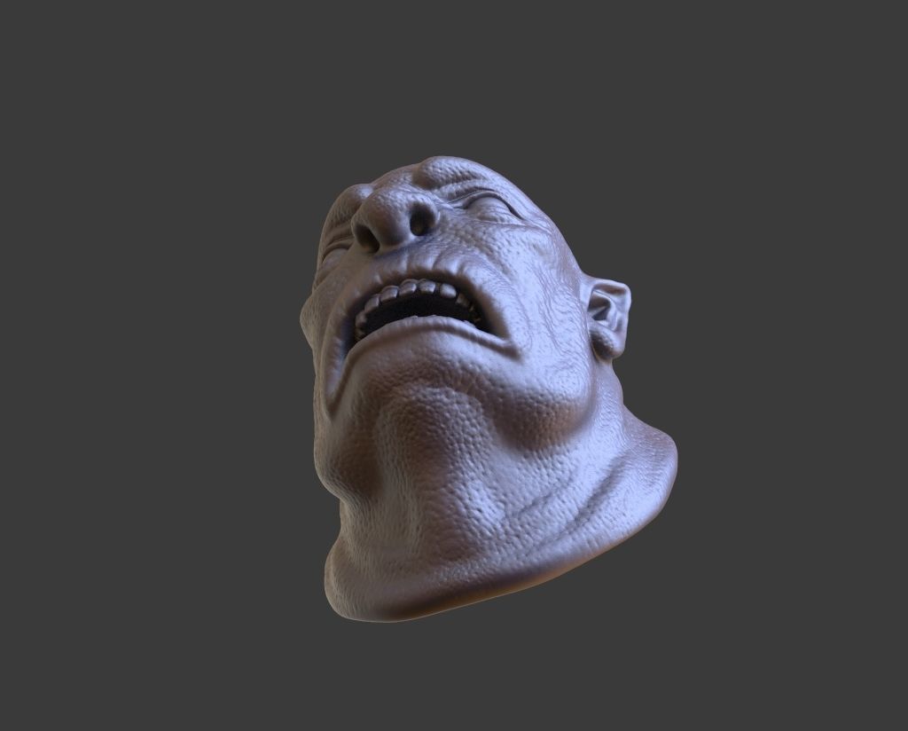 HEAD-F4  high poly sculpt 3D model 3D model_4