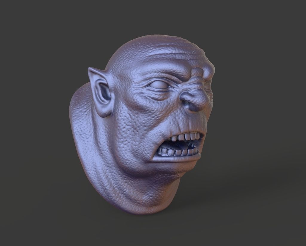 HEAD-F4  high poly sculpt 3D model 3D model_1