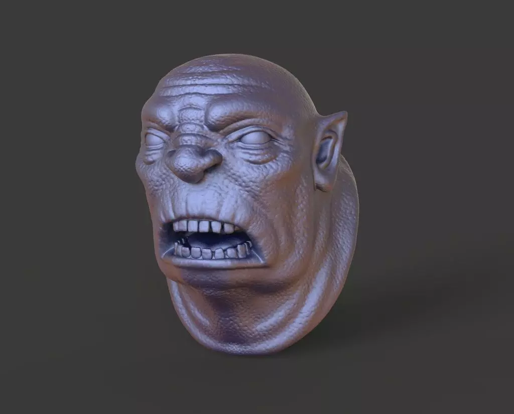 HEAD-F4  high poly sculpt 3D model 3D model_0