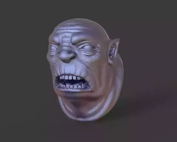 HEAD-F4  high poly sculpt 3D model