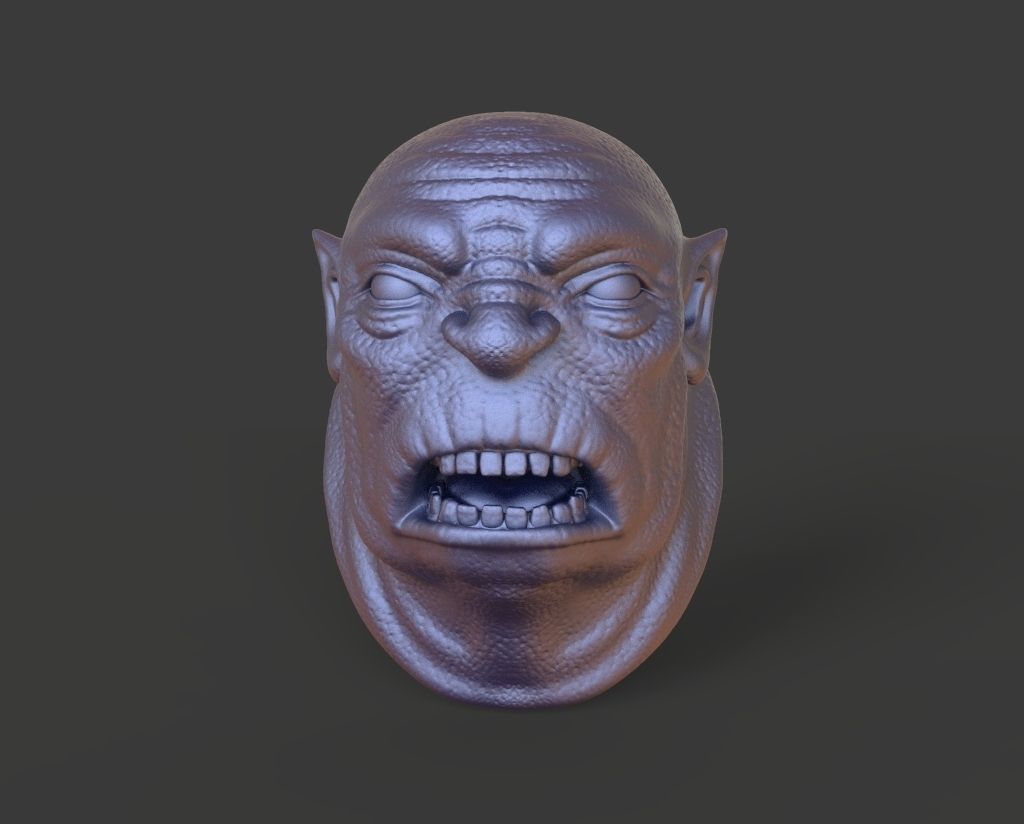 HEAD-F4  high poly sculpt 3D model 3D model_2