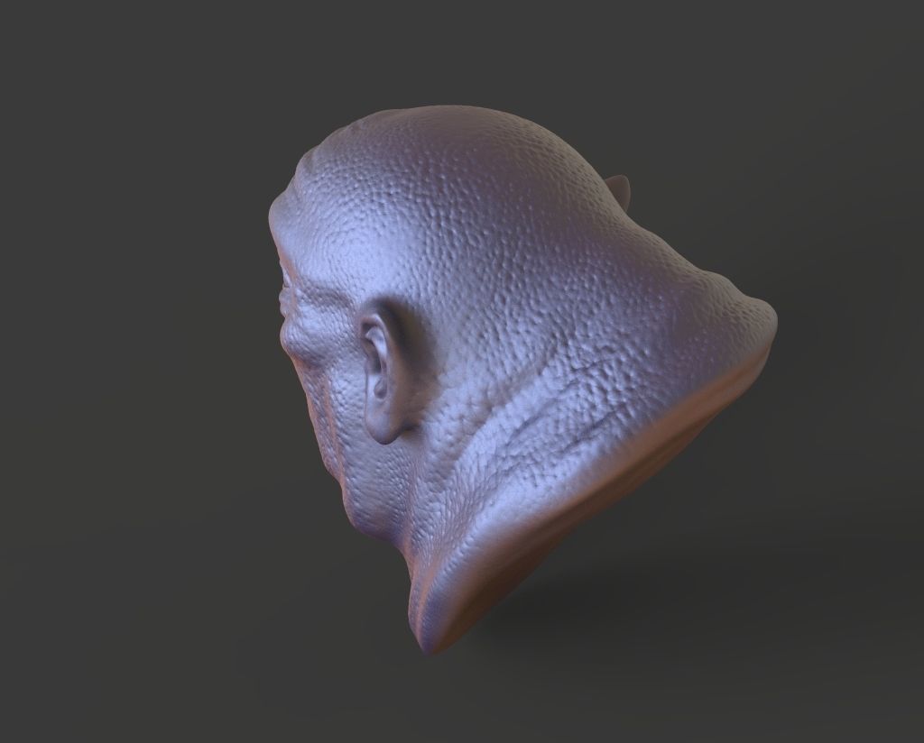 HEAD-F4  high poly sculpt 3D model 3D model_3
