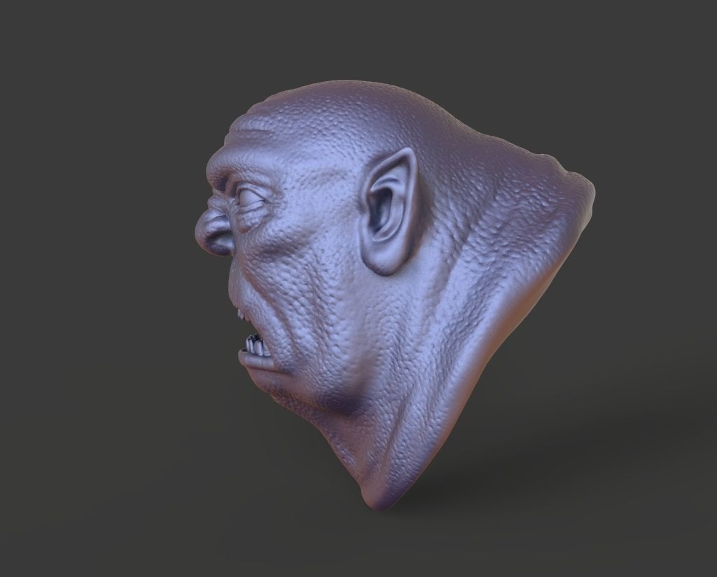 HEAD-F4  high poly sculpt 3D model 3D model_5